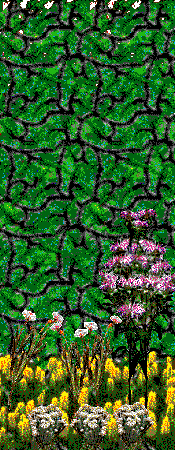 Floral Gardens hedges