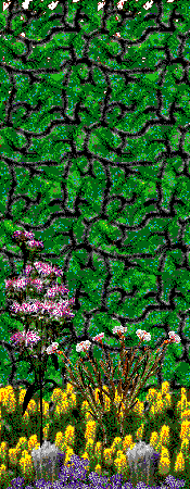 Floral Gardens hedges