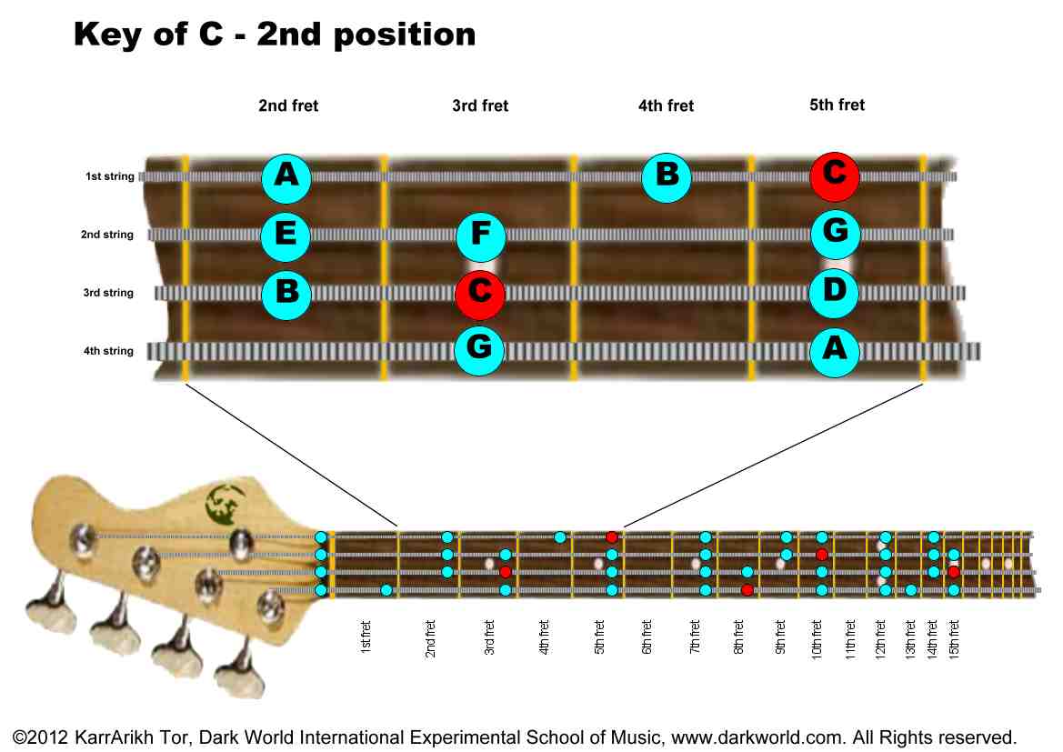 Key Of C Major 2nd Fret Position On Bass Guitar