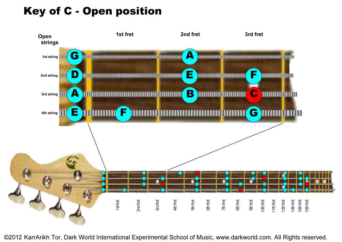 Key of C Major Bass Positions: Open Position